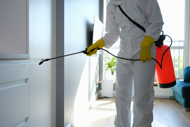 Best Attic Mold Removal  in Fortville, IN
